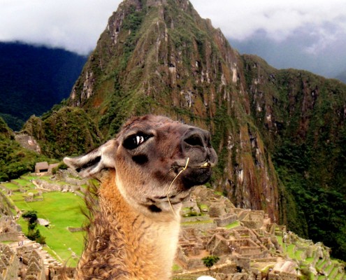 Machu Picchu - Peru © Trevor Jones