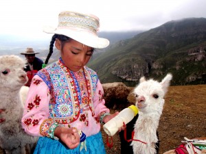 Peru © Trevor Jones