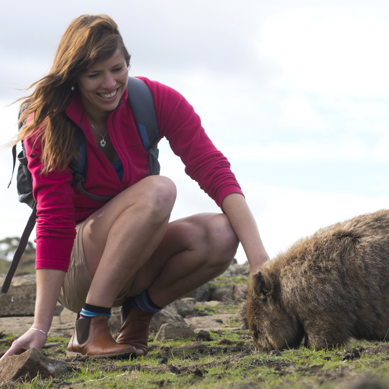 Meeting a wombat © Maria Island Walk