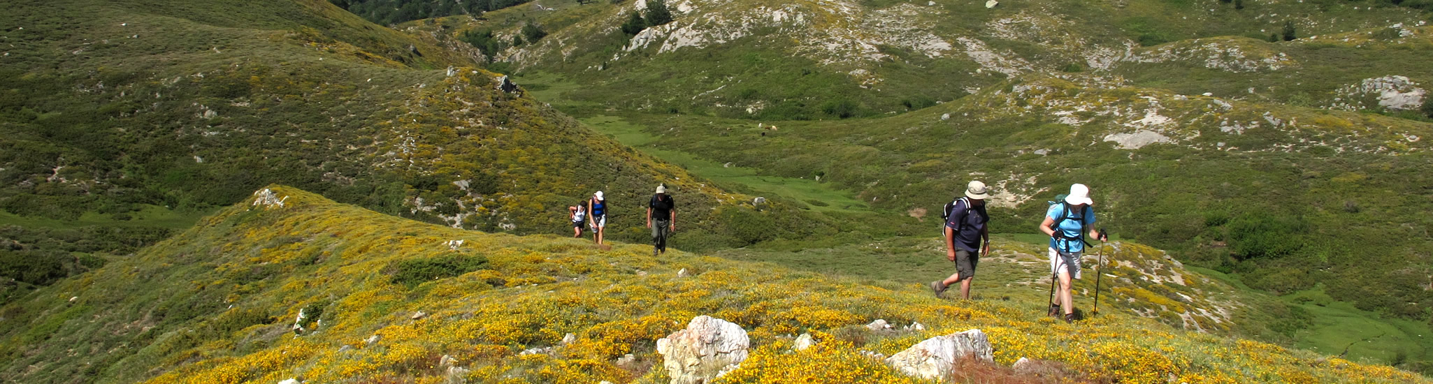 Plateau du Cuscione © Corsica Aventure